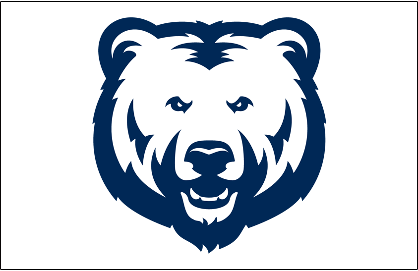 Northern Colorado Bears 2016-2017 Helmet Logo diy iron on heat transfer